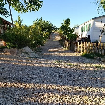 فيلا Finca Los Pedrenales Castelserás المظهر الخارجي الصورة